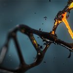 Sukujen kannattaa siirtyä DNA-aikaan